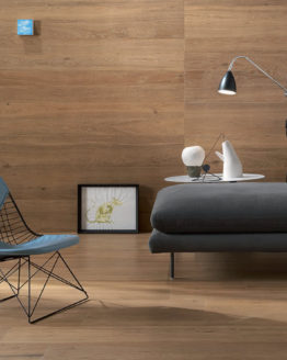 7 cer05 amb bark ambiente