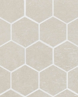 Gres porcellanato non smaltato