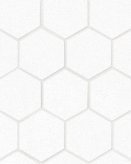 Gres porcellanato non smaltato