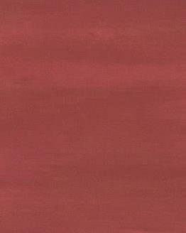 Gres porcellanato non smaltato