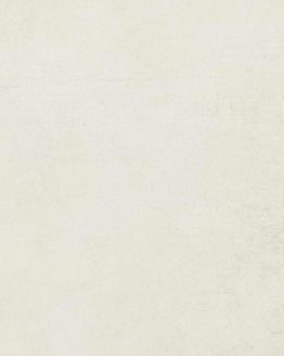 Gres porcellanato non smaltato