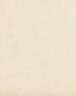 Gres porcellanato non smaltato