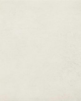 Gres porcellanato non smaltato