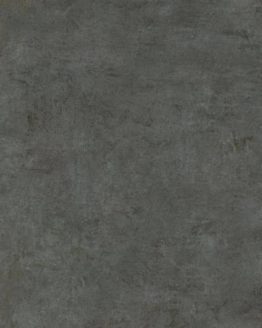 Gres porcellanato non smaltato