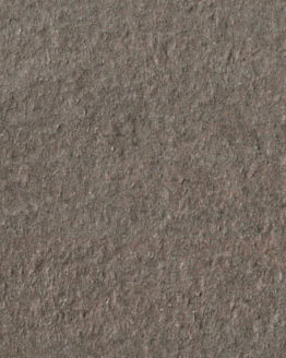 Gres porcellanato non smaltato