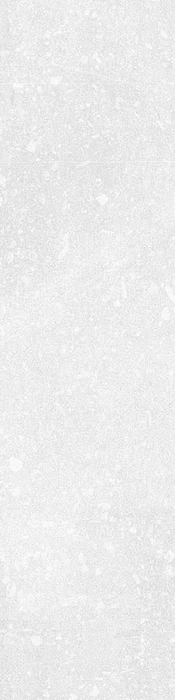 Gres porcellanato non smaltato