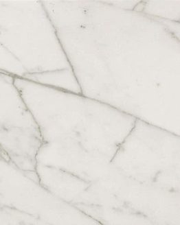 Gres porcellanato non smaltato