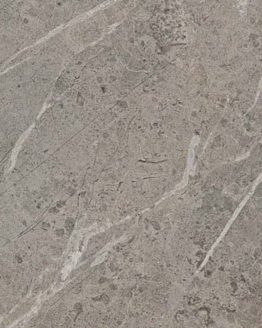 Gres porcellanato non smaltato