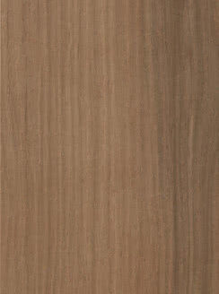 Gres porcellanato non smaltato