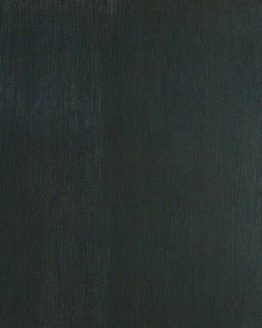 Gres porcellanato non smaltato