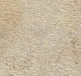 Gres porcellanato non smaltato