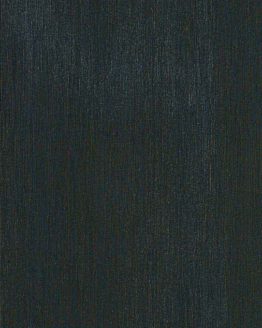 Gres porcellanato non smaltato