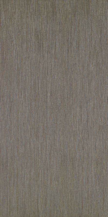 Gres porcellanato non smaltato