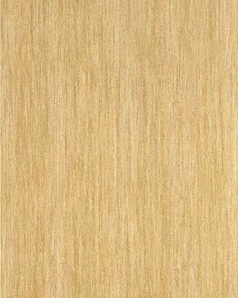 Gres porcellanato non smaltato