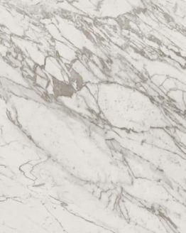 Gres porcellanato non smaltato