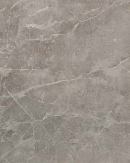 Gres porcellanato non smaltato