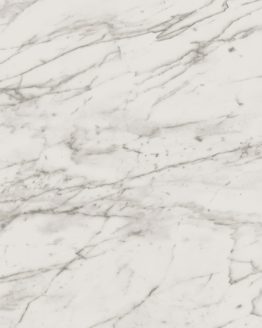 Gres porcellanato non smaltato