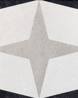 Gres porcellanato non smaltato