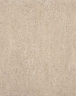 Gres porcellanato non smaltato