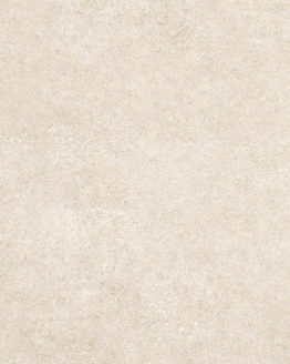 Gres porcellanato non smaltato