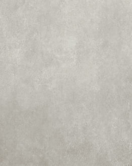 Gres porcellanato non smaltato