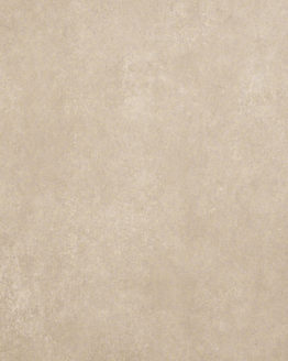 Gres porcellanato non smaltato