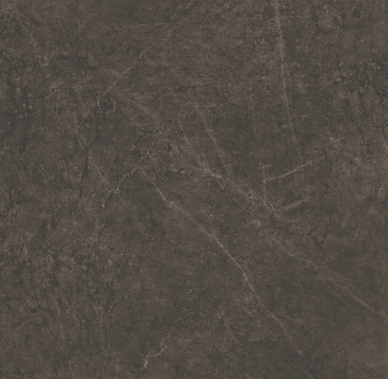 Gres porcellanato non smaltato