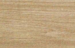 Gres porcellanato non smaltato