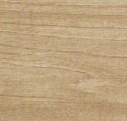 Gres porcellanato non smaltato