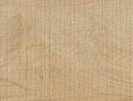 Gres porcellanato non smaltato