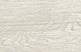 Gres porcellanato non smaltato