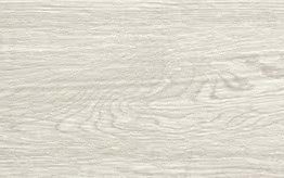 Gres porcellanato non smaltato