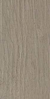 Gres porcellanato non smaltato