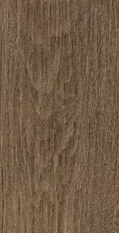 Gres porcellanato non smaltato