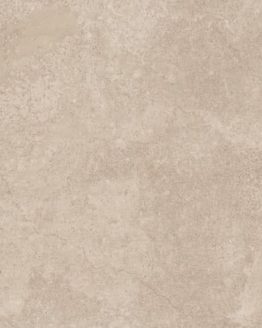 Gres porcellanato non smaltato