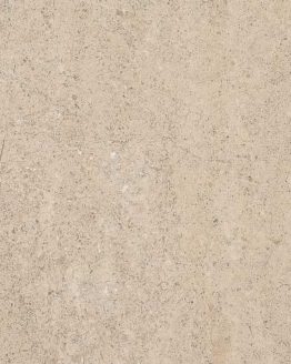 Gres porcellanato non smaltato