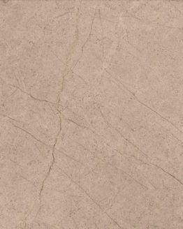 Gres porcellanato non smaltato