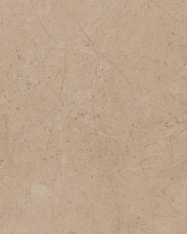 Gres porcellanato non smaltato