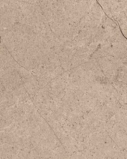 Gres porcellanato non smaltato