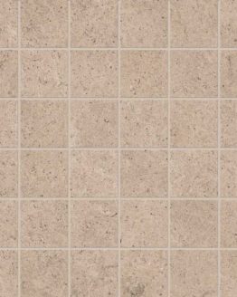 Gres porcellanato non smaltato