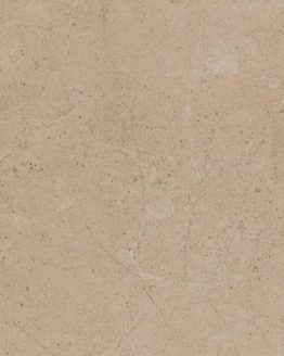 Gres porcellanato non smaltato