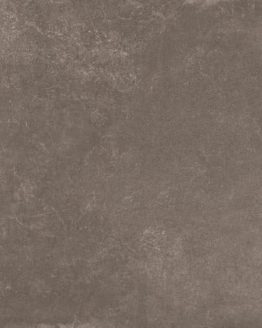 Gres porcellanato non smaltato