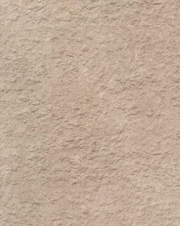 Gres porcellanato non smaltato