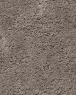 Gres porcellanato non smaltato