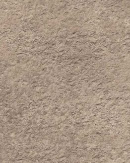 Gres porcellanato non smaltato