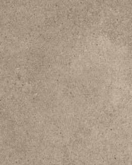 Gres porcellanato non smaltato